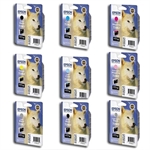 Epson T096 serie Pack cartuchos de tinta | EPSB-T096serie